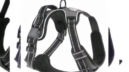 Hanyang Outdoor-Training, Nylon-Oxford-Mesh-Hundegeschirr, reflektierend, kein Ziehen, Haustiergeschirr, Hundeweste